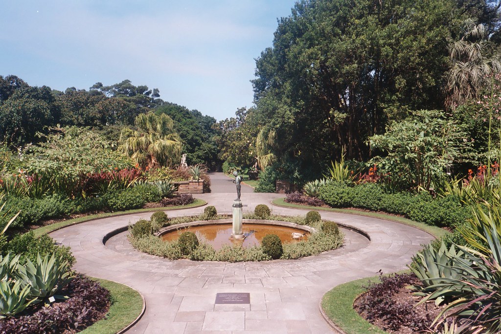 sydney Royal Botanic Garden photo