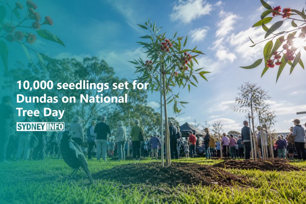 AI Generated - 10,000 seedlings set for Dundas on National Tree Day